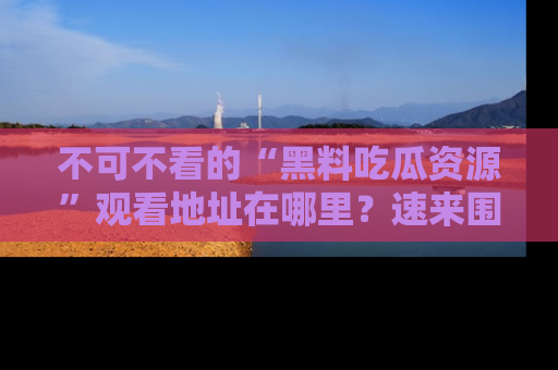 不可不看的“黑料吃瓜资源”观看地址在哪里?速来围观吧!