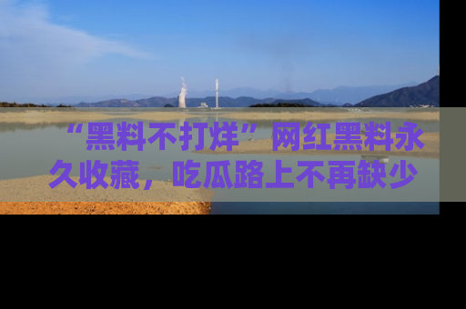 “黑料不打烊”网红黑料永久收藏，吃瓜路上不再缺少惊喜与乐趣