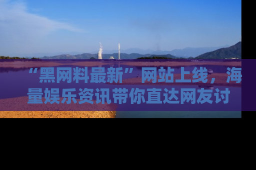“黑网料最新”网站上线，海量娱乐资讯带你直达网友讨论的中心！