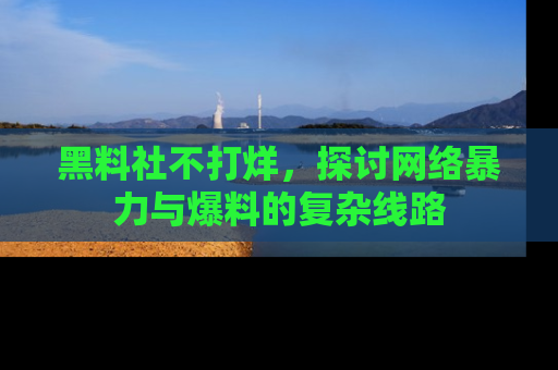 黑料社不打烊，探讨网络暴力与爆料的复杂线路