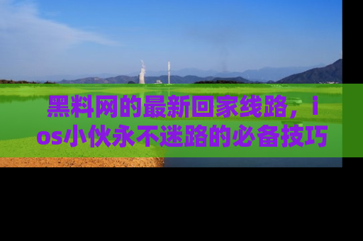 黑料网的最新回家线路，ios小伙永不迷路的必备技巧！