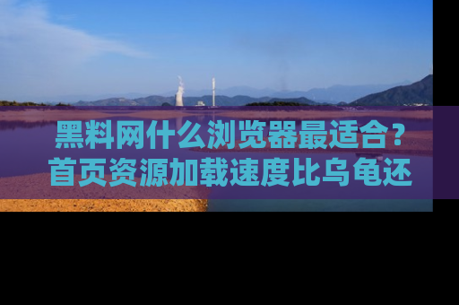 黑料网什么浏览器最适合？首页资源加载速度比乌龟还慢的体验真心吐槽！