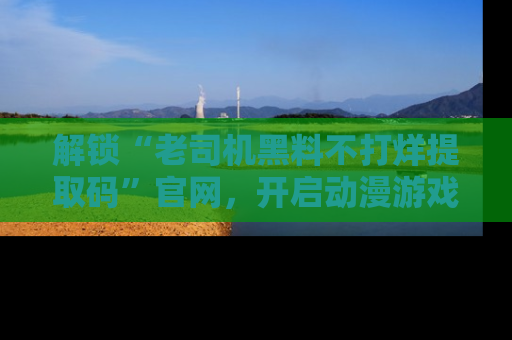 解锁“老司机黑料不打烊提取码”官网，开启动漫游戏的新次元之旅！