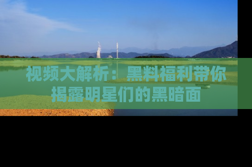 视频大解析：黑料福利带你揭露明星们的黑暗面