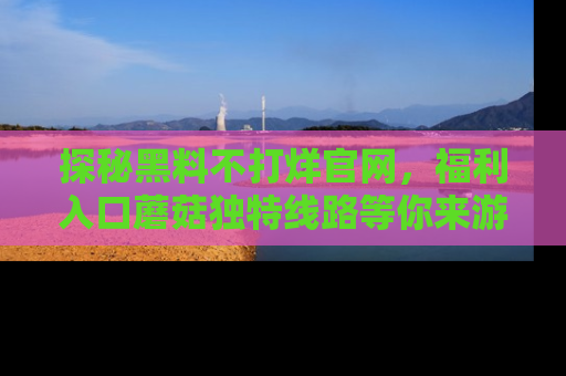 探秘黑料不打烊官网，福利入口蘑菇独特线路等你来游玩！
