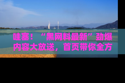 哇塞！“黑网料最新”劲爆内容大放送，首页带你全方位了解哦，小可爱们