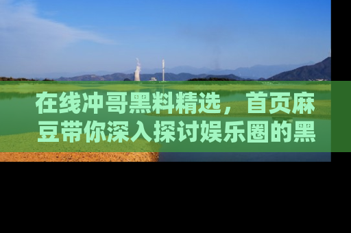 在线冲哥黑料精选,首页麻豆带你深入探讨娱乐圈的黑暗面