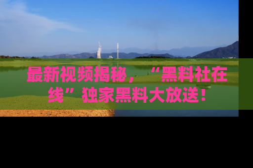 最新视频揭秘,“黑料社在线”独家黑料大放送!
